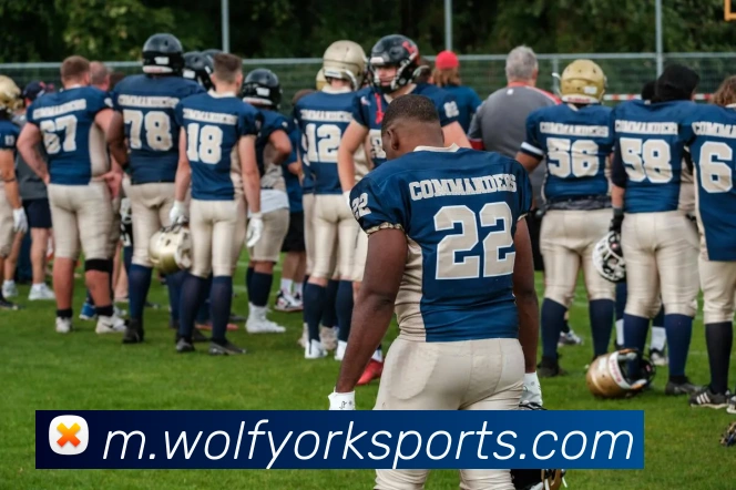 体育下注APP 高清赛事图